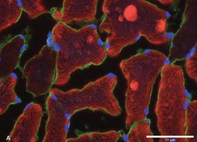 80c410e7-9ff1-48b8-8033-981b9d93d930