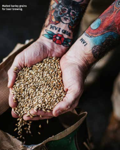 Image The Protein Brewery